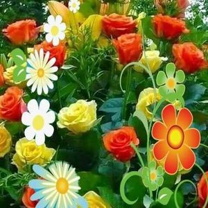 Meet your Posher, Lizeh